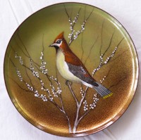 Copper_Enamel Cedar Waxwing